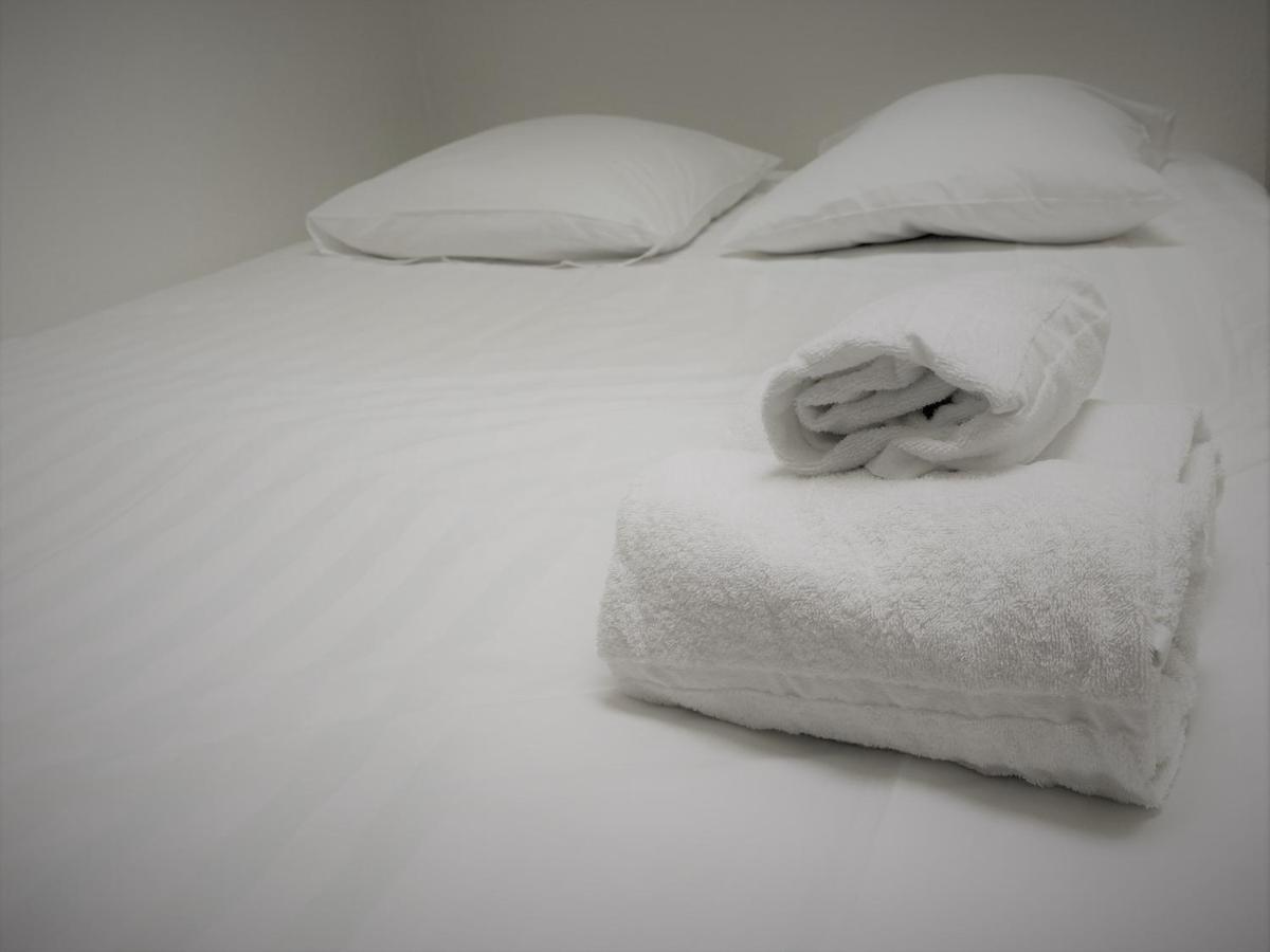 Les Cosy De Nancy - Le Duplex Aux Flammants Roses - 4Etoiles Lejlighed Eksteriør billede